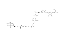 146385-37-7 Biotin-NAD+ 生物素-NAD +