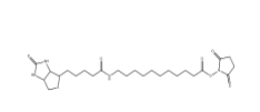1260092-37-2 Biotin-SLC-NHS Ester