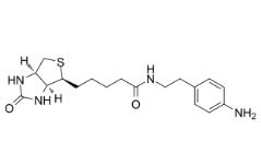 769933-15-5        Biotin-aniline，98%，25mg	生物素-苯胺	