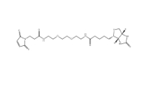 305372-39-8，Biotin-PEG2-Mal小分子PEG,生物素-二聚乙二醇-酰胺-馬來酰亞胺