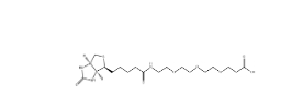 CAS號：252881-76-8 ；Biotin-PEG3-COOH ；Biotin-PEG3-prop