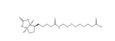 1365655-89-5,Biotin-PEG2-COOH	，生物素-二聚乙二醇-丙酸