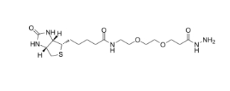 （+）-Biotin-PEG2-Hydrazide；（+）-生物素-PEG2-酰肼