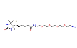 663171-32-2；（+）-Biotin-PEG4-CH2CH2NH2；生物素-五聚乙二醇-氨基