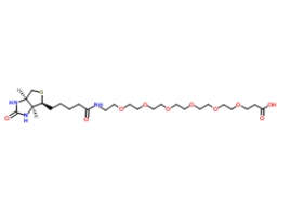 1352814-10-8；（+）-Biotin-PEG6-CH2CH2COOH；生物素六聚乙二醇羧乙基