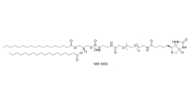 385437-57-0；Biotin-PEG2000-DSPE，DSPE-PEG2000-Biotin；生物素聚乙二醇磷脂