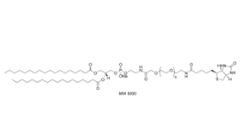 385437-57-0，Biotin-PEG2000-DSPE，DSPE-PEG2000-Bioti