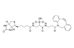 1363444-70-5；DBCO-Sulfo-link-biotin；二苯并環(huán)辛炔- 水溶性-連接生物素