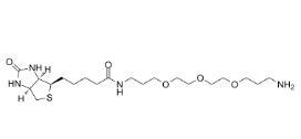 1374658-86-2,Biotin-PEG3-（CH2）3-NH2 TFA salt，生物素-三聚乙二醇-亞甲基-氨基