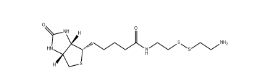 CAS號(hào):128915-82-2；生物素半胱胺；Biotinyl Cystamine
