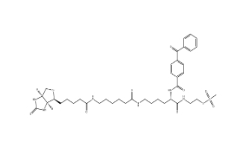 910036-44-1；2-[Nα-Benzoylbenzoicamido-N6-(6-biotinamidocaproyl)-L-lysinylamido]ethyl Methanethiosulfonate		