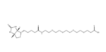 721431-18-1；Biotin-PEG4-COOH；15-[D-(+)-生物素氨基]-4,7,10,13-四氧雜十五烷酸	