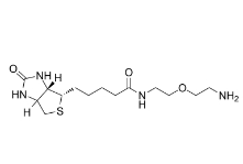 811442-85-0；Biotin-PEG1-amine；生物素-二聚乙二醇-氨基	