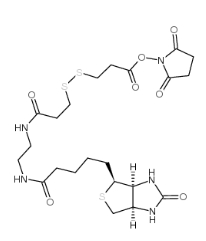 142439-92-7；Biotin-bisamido-SS-NHS ester；3-[3-[2-(生物素酰胺)乙基]氨基-3-氧代丙基]二硫基]丙酸琥珀酰亞胺酯	