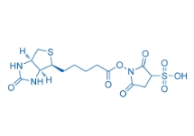 190598-55-1；Biotin sulfo-N-hydroxysuccinimide ester	；2,5-二氧代-1-((5-((3AS,4S,6AR)-2-氧代六氫-1H-噻吩并[3,4-D]咪唑-4-基)戊?；?氧基)吡咯烷-3-磺酸	