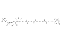 186033-13-6；生物素-16-UTP；5-(N-[N-Biotinyl-ω-aminocaproyl-γ-aminobutyryl]-3-aminoallyl)uridine 5′-triphosphate	