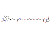 459426-22-3；Biotin-PEG4-NHS ester；生物素-四聚乙二醇-NHS 酯