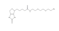Biotin-PEG-Amine，Biotin-PEG-NH2 ；生物素PEG氨基