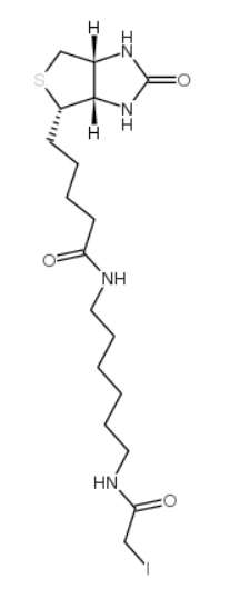 CAS No. : 93285-75-7，Iodoacetyl-LC-biotin ， 一種生物素化的親電子探針