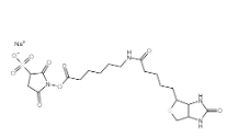 191671-46-2，Biotinamidohexanoic acid 3-sulfo-N-hydroxysuccinimide ester sodium salt