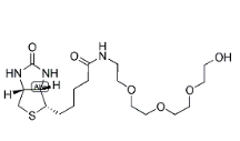 1322625-82-0，1-Biotinylamino-3,6,9-trioxaundecane-11-ol
