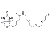 [CAS 1041766-91-9]，1-Biotinylamino-3,6,9-trioxaundecane-11-bromide 