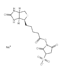  [CAS 119616-38-5]，Sulpho NHS biotin