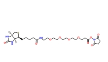 [CAS 459426-22-3]，15-Biotinlamino-4,7,10,13-Dioxanonanoic Acid N-Hydroxysuccinimidyl Ester 