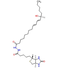 [CAS 1176496-97-1]，13(S)-HODE-biotin 