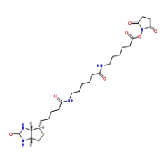  [CAS 89889-52-1]，Biotin-LC-LC-NHS，生物素-LC-LC-琥珀酰亞胺酯