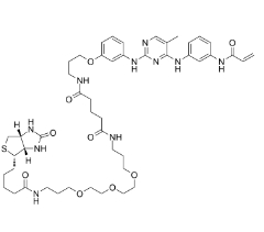 [CAS 1202758-21-1]，CNX-500 