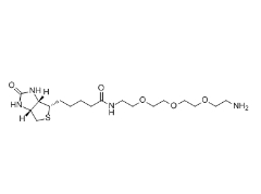  [CAS 359860-27-8]，Amine-PEG3-Biotin，(+)-生物素基 3,6,9-三氧雜十一碳二胺