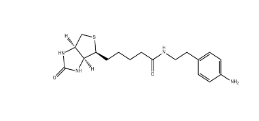 Biotin-aniline、769933-15-5、生物素-苯胺