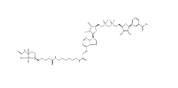 Biotin-NAD+、146385-37-7、生物素-NAD +