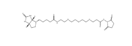 Biotin-PEG3-NHS ester、1253286-56-4、生物素三聚乙二醇琥珀酰亞胺酯