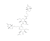 N-GlcNAc-生物素、1272755-69-7、2-乙酰氨基-2-脫氧-BETA-D-吡喃葡萄糖基氨基生物素