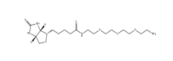 Amine-PEG3-Biotin	、359860-27-8、生物素-PEG3-胺