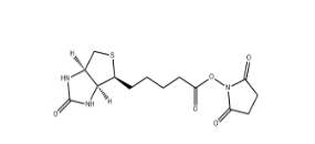 D-生物素 N-羥基琥珀酰亞胺酯、 35013-72-0、D-Biotin N-Succinimidyl Ester