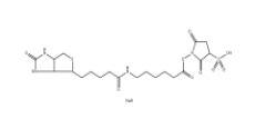 Sulfosuccinimidyl 6-(biotinamido)hexanoate 、127062-22-0、生物素酰氨基己酸-3-磺酸基-N-羥基琥珀酰亞胺酯