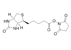 四臂-聚乙二醇-生物素；4-Arm PEG-Biotin		