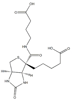 4-（（Biotinoyl）amino）Butyric acid	    35924-87-9	          生物素?；?4-氨基丁酸