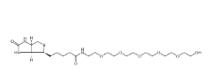 (+)-Biotin-PEG6-OH；906099-89-6
