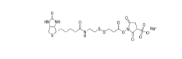 Sulfo-NHS-SS-biotin，Sulfo-NHS-SS-Biotin sodium、325143-98-4、生物素-二硫鍵-磺酸-琥珀酰亞胺酯