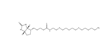 Biotin-PEG6-NH2， 663171-32-2，小分子PEG