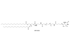 磷脂PEG生物素；385437-57-0；DSPE-PEG-Biotin