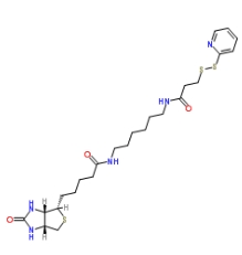 Biotin HPDP；129179-83-5；生物素-二硫吡啶