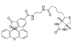 生物素（5-熒光素）綴合物 ； 957494-27-8；BIOTIN (5-FLUORESCEIN) CONJUGATE