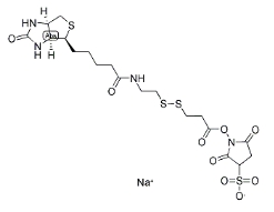 Biotin-SS-NHS 生物素-二硫-活性酯；cas:122266-55-1