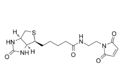 生物素 C2 馬來酰亞胺 ；CAS 139554-72-6；N-BIOTINYL-N＇-MALEIMIDO-ETHYLENEDIAMINE
