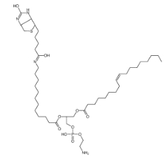 CAS號:799812-67-2；1-油酰-2-(12-生物素酰(氨基十二烷基))-sn-甘油-3-磷酸乙醇胺